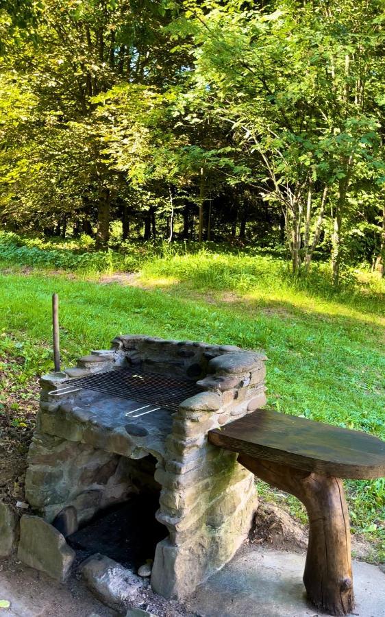 Apartment Bieszczady Czarna (Bieszczady)
